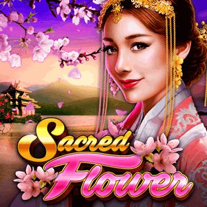 GMW Extra 31